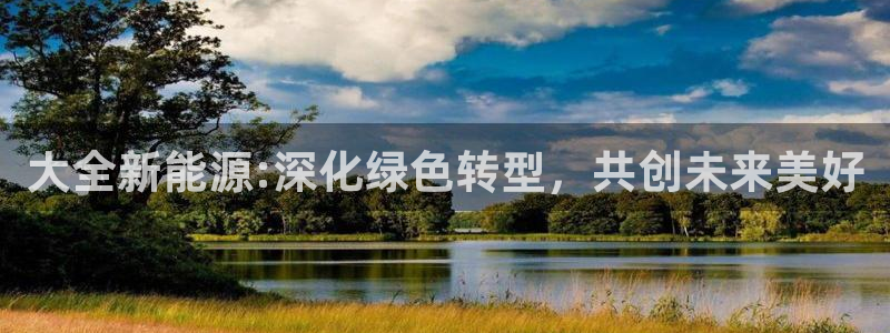 新宝gg如何赚钱：大全新能源:深化绿色转