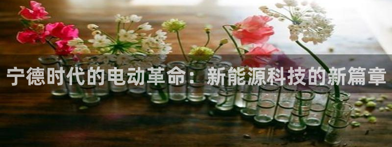 新宝GG之家：宁德时代的电动革命：新能源