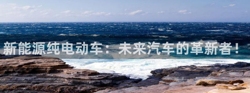 新宝gg：新能源纯电动车：未来汽车的革新