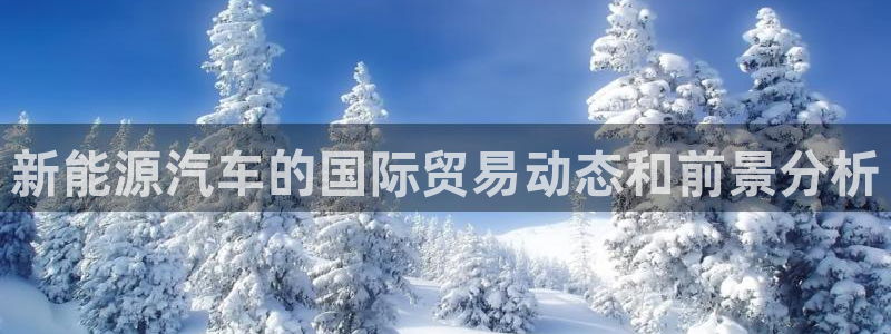 新宝GG正规78778：新能源汽车的国际