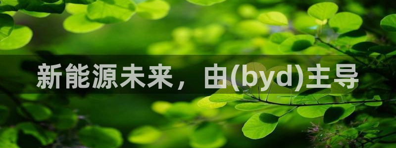 新宝gg类似：新能源未来，由(byd)主